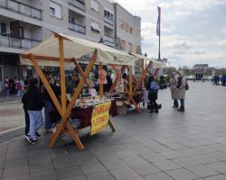 IMG 20250407 104949