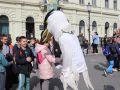 IMG 0157