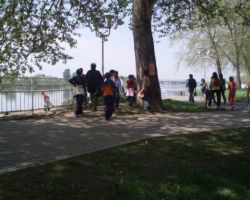  Bloger može biti svak