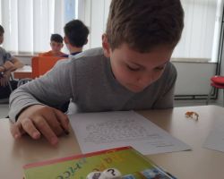 IMG 58b40cd04329b106b7d16be3f11fe23d V