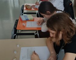 IMG 7edf68fbbd3e958bf04aa5b157339a68 V